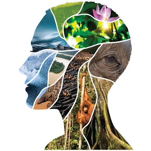 The profile of a person's face is created with a collage of images of animals and nature