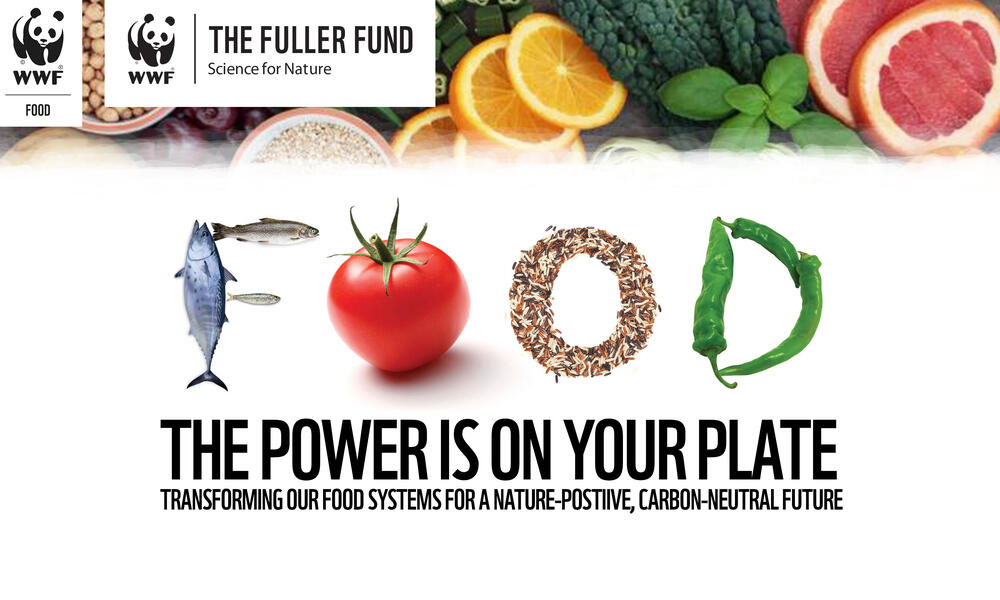 Fuller Seminar Series Food Logo - Various edible items arranged to spell the word Food