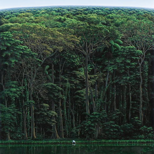 Landscape of trees and water with person drinking from pool