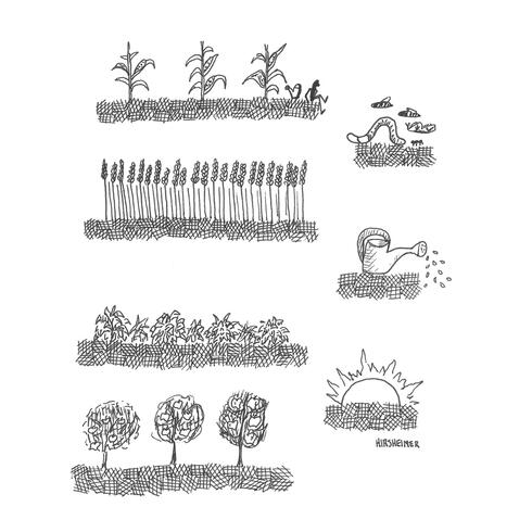 Line drawing of plants and sun