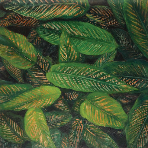 Leaves