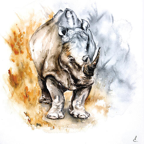 Painting of rhino