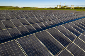 Rows of solar panels