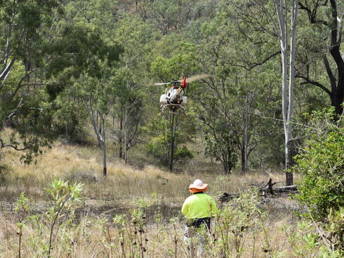 View from behind of a man flying a drone low to the ground among trees