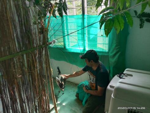 A vet holds a bird in a veterinarian facility in India