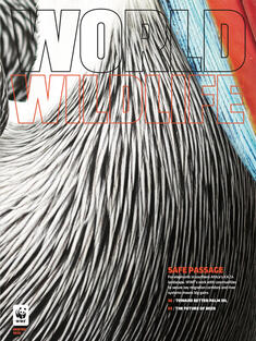 World Wildlife Magazine Winter 2020 cover