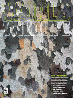 World Wildlife Magazine Fall 2020 cover