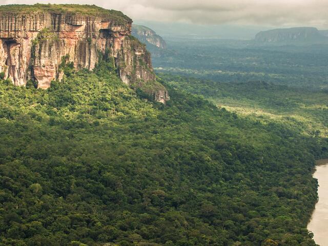 Aerial view of a river cutting through a dense green forest with a large mountain range along the left side