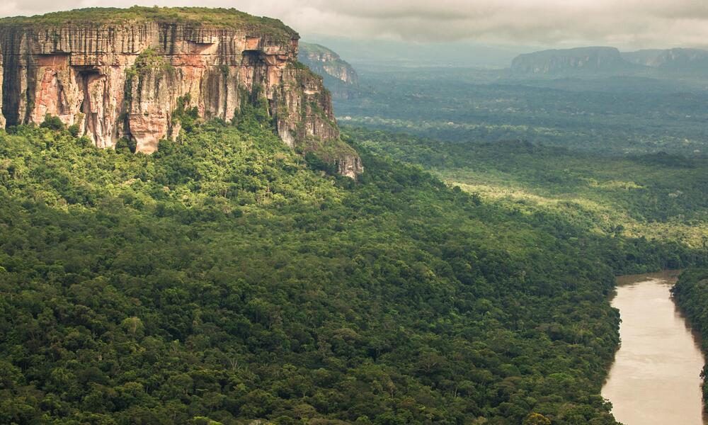Colombian Amazon Photos WWF
