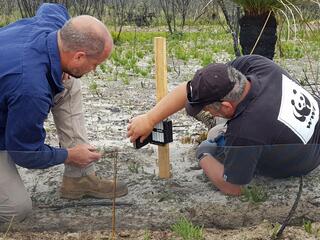 Two men crouching down on the ground to set up netting and a camera to capture images of wildlife passing by