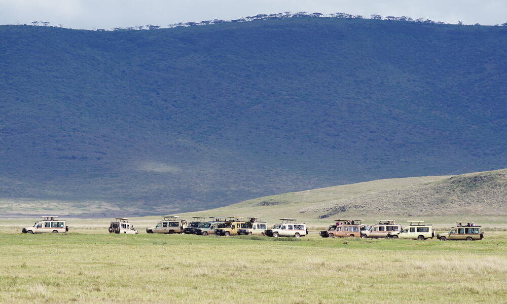 Tourist vehicles in a line with mountains in the background