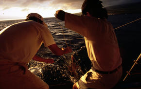 Local fishermen