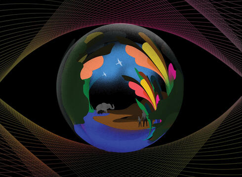 Colorful illustration of eye with animal figures