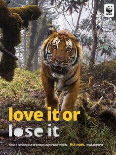 PSA: An image of a tiger with the line 'love it or lose it'