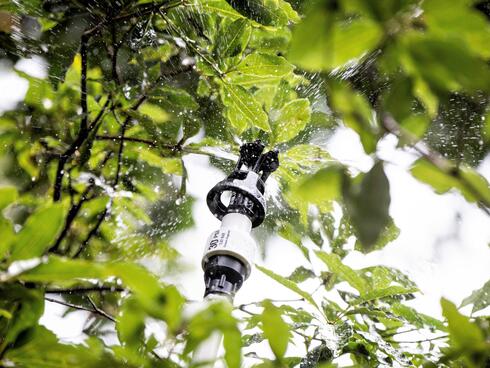 Closeup of a sprinkler system in the trees