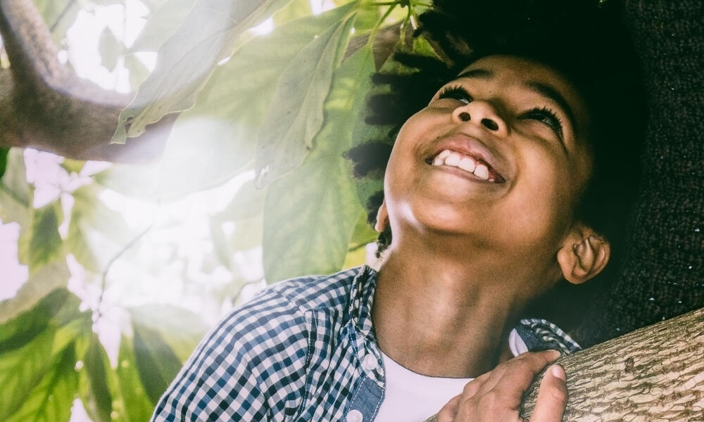 A boy climbs a tree and smiles with his face turned upward as the sun shines behind him