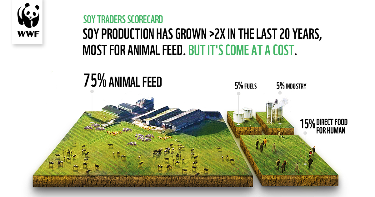 COFCO: Chinese soy trader's progress on traceability in Brazil is