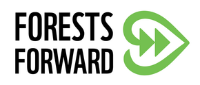 Forests Forward graphic logo