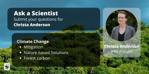 Ask A Scientist panel image featuring Christa Anderson