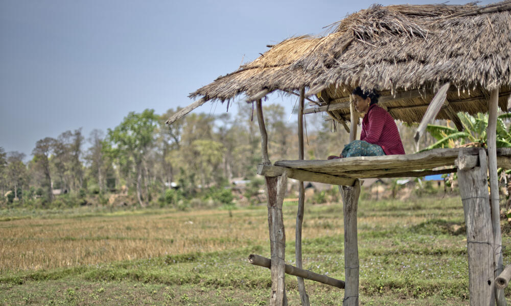 A person in brightly colored clothing sits on a raised platform looking out over the land on a sunny day