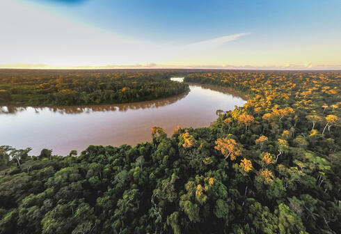 River from above curving through forest