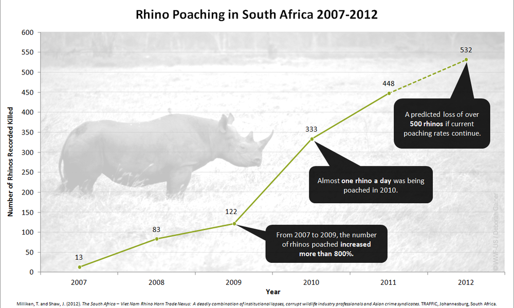 enscape not showing in rhino