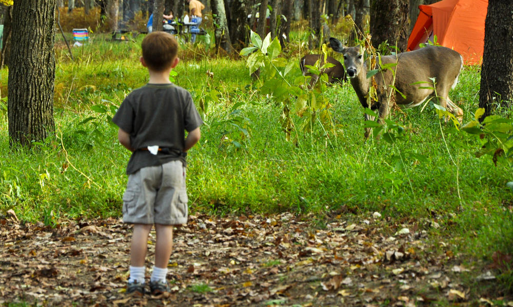 Owen challenged a deer