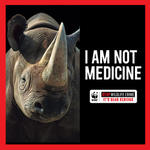 Stop Wildlife Crime | Pages | WWF