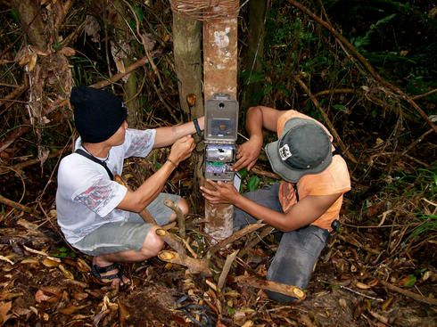 Installing camera trap in Tesso Nilo national park, Riau Province, Indonesia