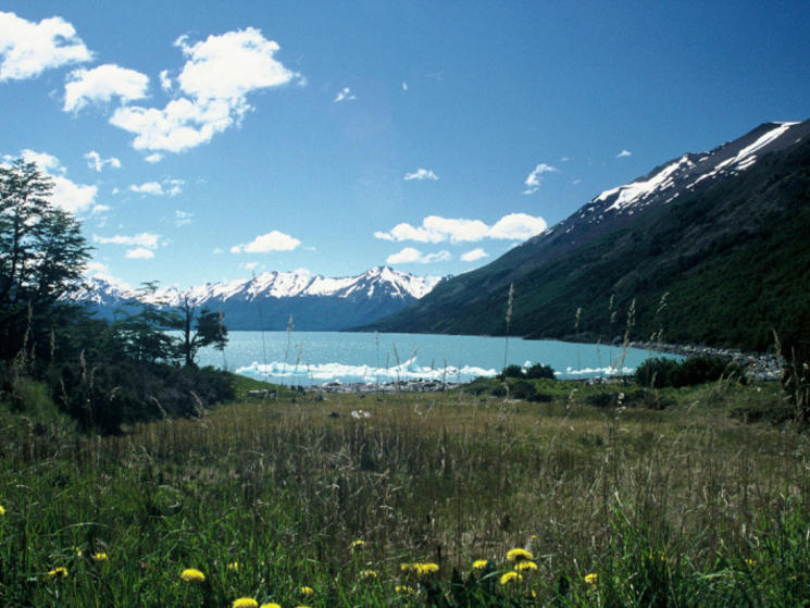 Interesting Facts About Patagonia