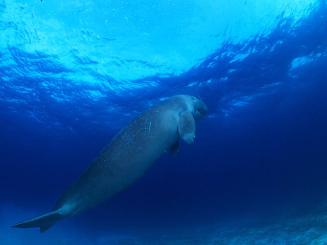 Shallow Waters - I Shallow Waters - I