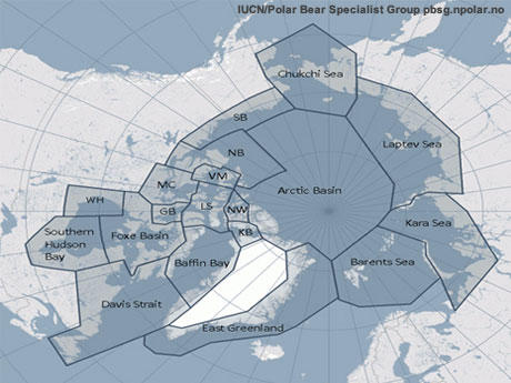 Map of Polar Bear Populations