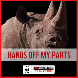 Hands Off My Parts (Rhino)