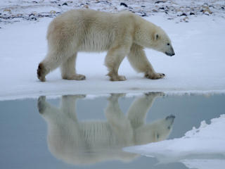 IMG 1897 - Version 2