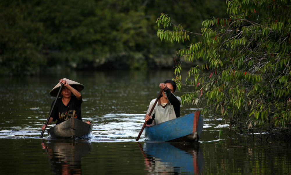 Kayaks in Lake Sentarum  Photos  WWF