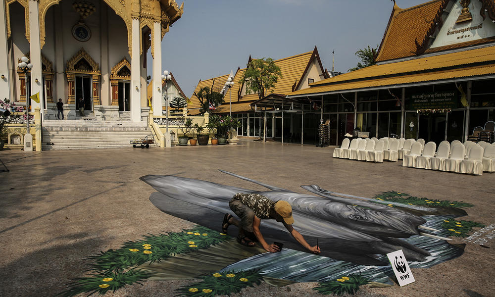 Man drawing elephant in chalk