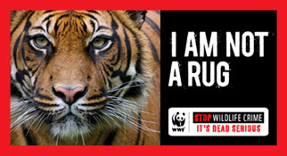 Image result for Stop Wildlife Crime wwf