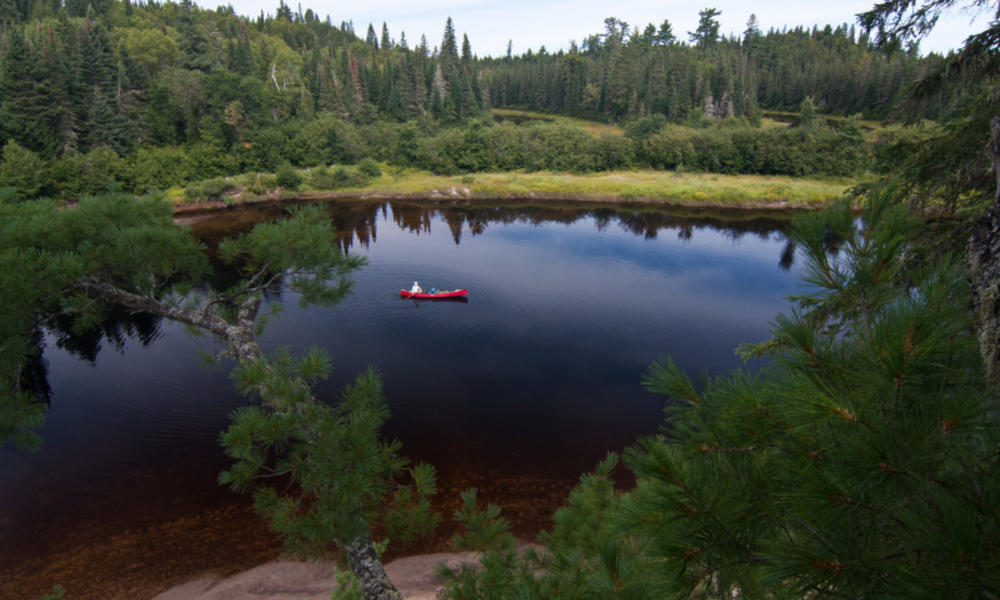 Canoe in pond