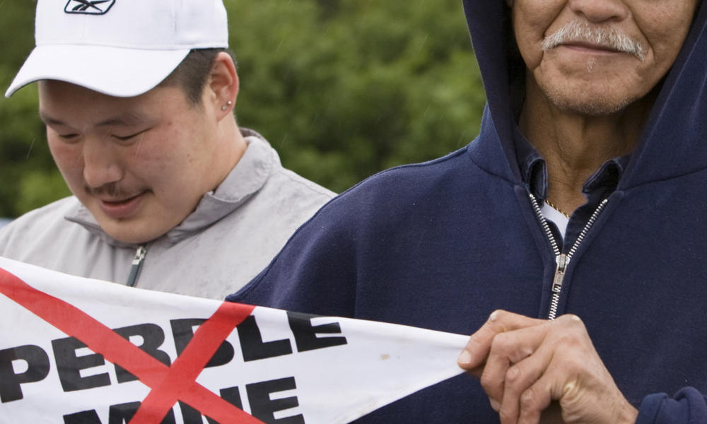 Pebble mine protestors