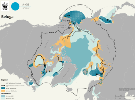 beluga map from ArkGIS