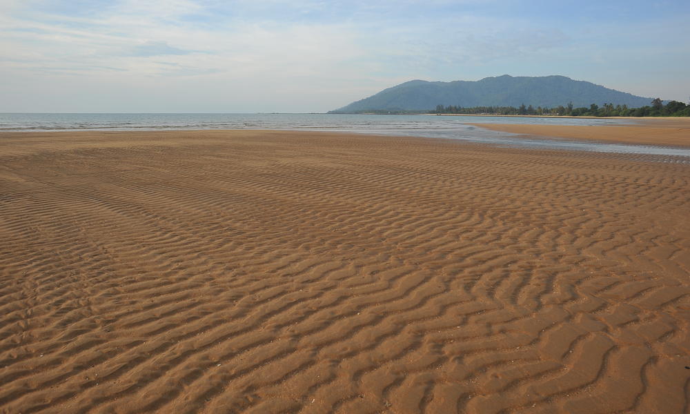 nesting beach