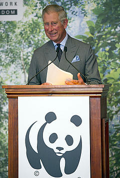 Prince Charles