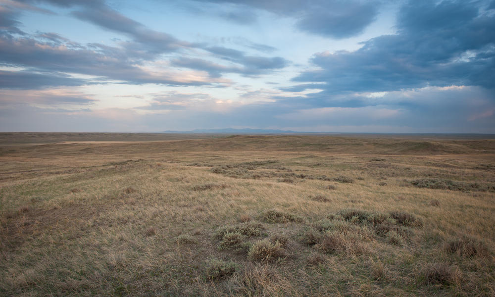 the pathless great plains lightstones