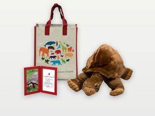 Adopt a Giant Tortoise