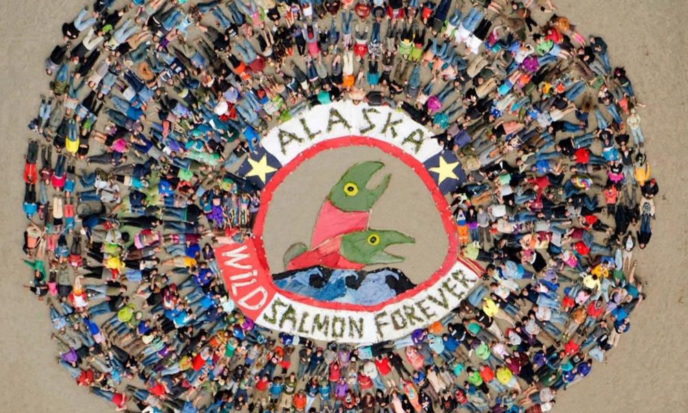 aerial art at salmonstock