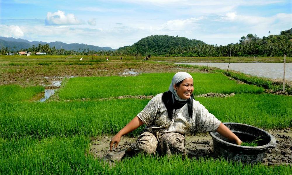 woman in field