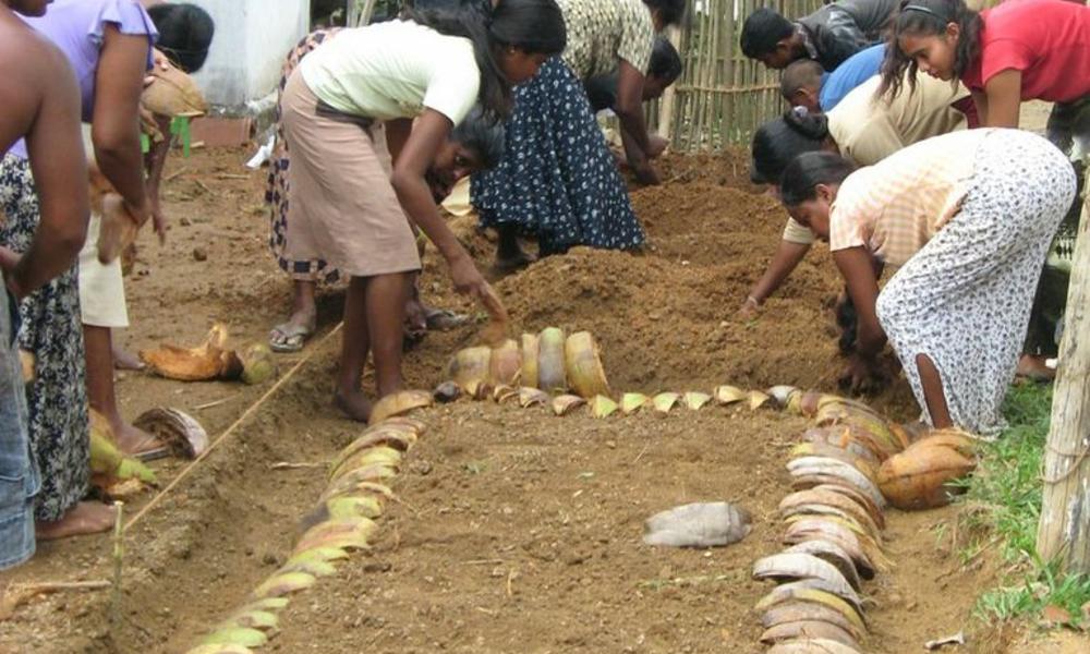 creating garden