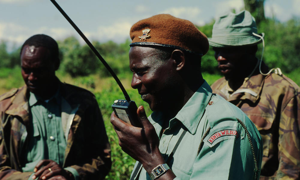 rangers in Tanzania