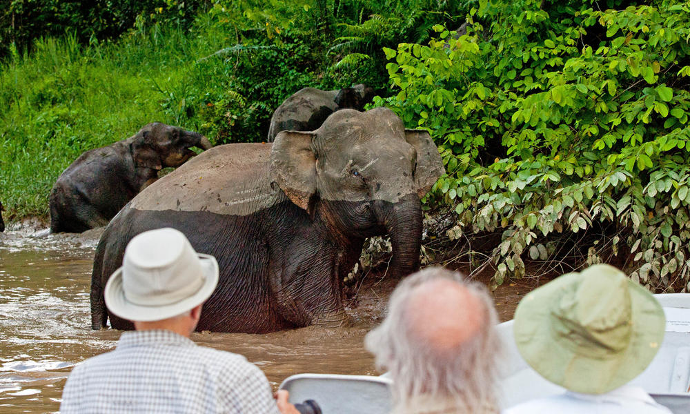 Borneo | Tours | WWF