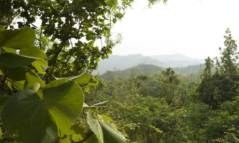 Churia Range forest, Nepal, Himalayas